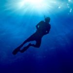 SEIKO KING TURTLE DIVERS 200 PADI SPECIAL EDITION SRPK01K1 - Image 2